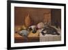 Still Life Game Birds, c1895-William Cruikshank-Framed Giclee Print