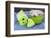 Still Life, Green, Bird Houses, Heart, Bowl, Cherry Blossoms-Andrea Haase-Framed Photographic Print