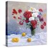 Still Life I-Malva-Stretched Canvas