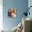 Still Life I-Simon Addyman-Stretched Canvas displayed on a wall