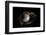 Still-Life Image of Baseball Nestled in a Mitt or Glove-Sheila Haddad-Framed Photographic Print