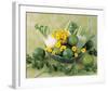 Still Life in Green-null-Framed Art Print