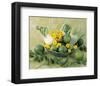 Still Life in Green-null-Framed Art Print