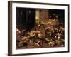 Still Life (Interior with Game, Fish, Fruit, Flowers, Cats and Dogs), 1645-79-Jan van Kessel-Framed Art Print