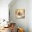 Still Life IV-Babivec Vjaceslav-Mounted Art Print displayed on a wall