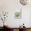 Still Life, Ivy Blossoms, Bowls, Green, White-Andrea Haase-Photographic Print displayed on a wall