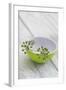 Still Life, Ivy Blossoms, Bowls, Green, White-Andrea Haase-Framed Photographic Print