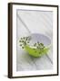 Still Life, Ivy Blossoms, Bowls, Green, White-Andrea Haase-Framed Photographic Print