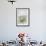 Still Life, Ivy Blossoms, Bowls, Green, White-Andrea Haase-Framed Photographic Print displayed on a wall