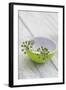 Still Life, Ivy Blossoms, Bowls, Green, White-Andrea Haase-Framed Photographic Print