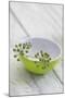 Still Life, Ivy Blossoms, Bowls, Green, White-Andrea Haase-Mounted Photographic Print