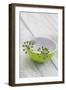 Still Life, Ivy Blossoms, Bowls, Green, White-Andrea Haase-Framed Photographic Print