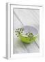 Still Life, Ivy Blossoms, Bowls, Green, White-Andrea Haase-Framed Photographic Print