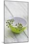 Still Life, Ivy Blossoms, Bowls, Green, White-Andrea Haase-Mounted Photographic Print