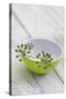 Still Life, Ivy Blossoms, Bowls, Green, White-Andrea Haase-Stretched Canvas