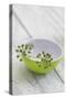 Still Life, Ivy Blossoms, Bowls, Green, White-Andrea Haase-Stretched Canvas