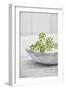 Still Life, Ivy Blossoms, Green, Stone Cup, Grey, White-Andrea Haase-Framed Photographic Print