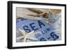 Still Life, Maritime, Blue, Flotsam and Jetsam, Starfish, Material, Text-Andrea Haase-Framed Photographic Print