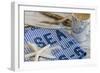 Still Life, Maritime, Blue, Flotsam and Jetsam, Starfish, Material, Text-Andrea Haase-Framed Photographic Print