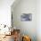 Still Life, Maritime, Blue, Flotsam and Jetsam, Starfish, Material, Text-Andrea Haase-Stretched Canvas displayed on a wall