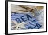 Still Life, Maritime, Blue, Flotsam and Jetsam, Starfish, Material, Text-Andrea Haase-Framed Photographic Print