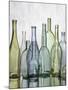 Still Life Medley-Mark Chandon-Mounted Giclee Print