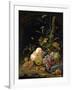 Still Life of a Forest Floor-Abraham Mignon-Framed Giclee Print