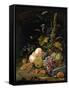 Still Life of a Forest Floor-Abraham Mignon-Framed Stretched Canvas