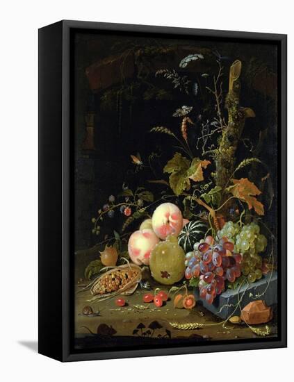 Still Life of a Forest Floor-Abraham Mignon-Framed Stretched Canvas