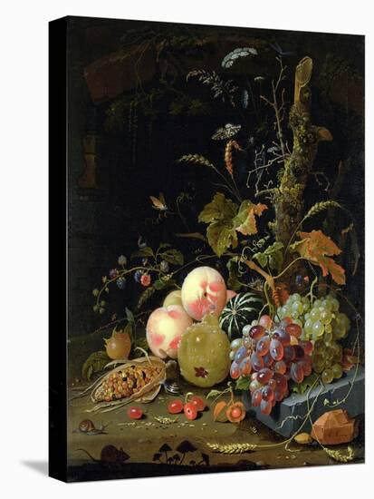 Still Life of a Forest Floor-Abraham Mignon-Stretched Canvas
