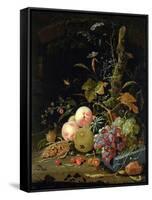 Still Life of a Forest Floor-Abraham Mignon-Framed Stretched Canvas