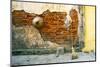 Still-life of a hat and broom against a weathered wall in Vietnam.-Tom Haseltine-Mounted Photographic Print