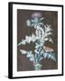 Still Life of a Thistle-Barbara Regina Dietzsch-Framed Giclee Print