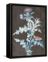 Still Life of a Thistle-Barbara Regina Dietzsch-Framed Stretched Canvas