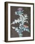 Still Life of a Thistle-Barbara Regina Dietzsch-Framed Giclee Print