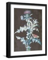 Still Life of a Thistle-Barbara Regina Dietzsch-Framed Giclee Print