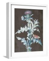 Still Life of a Thistle-Barbara Regina Dietzsch-Framed Giclee Print