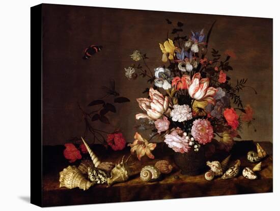 Still Life of a Vase of Flowers with Shells-Balthasar van der Ast-Stretched Canvas