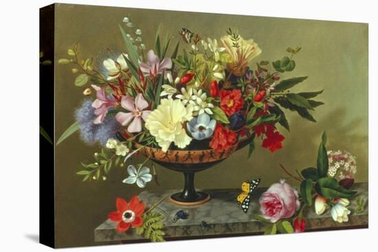 Still Life of Anemones and Roses-Adolf Senff-Stretched Canvas