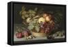 Still Life of Apples, Grapes and Nuts-Johannes Bosschaert-Framed Stretched Canvas