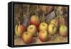 Still Life of Apples-Frederick Spencer-Framed Stretched Canvas