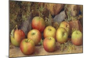 Still Life of Apples-Frederick Spencer-Mounted Giclee Print