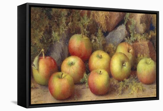 Still Life of Apples-Frederick Spencer-Framed Stretched Canvas