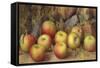 Still Life of Apples-Frederick Spencer-Framed Stretched Canvas