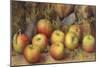 Still Life of Apples-Frederick Spencer-Mounted Giclee Print