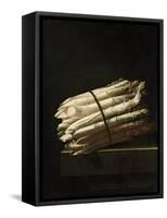 Still Life of Asparagus, 1699-Adrian Coorte-Framed Stretched Canvas