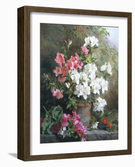 Still Life of Azaleas-Annie Feray Mutrie-Framed Giclee Print