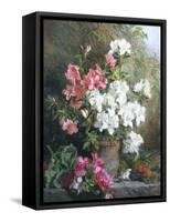 Still Life of Azaleas-Annie Feray Mutrie-Framed Stretched Canvas