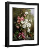 Still Life of Azaleas-Annie Feray Mutrie-Framed Giclee Print