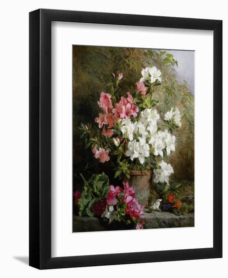 Still Life of Azaleas-Annie Feray Mutrie-Framed Giclee Print